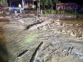 343043300_139634382426228_6466538940862957895_n