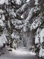 316229107_506677884847011_7197480222129490511_n