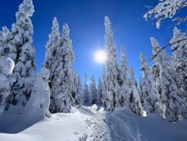 324932639_904066877398473_6125736342420105128_n