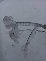 317327026_552690666701297_6745859480506777230_n