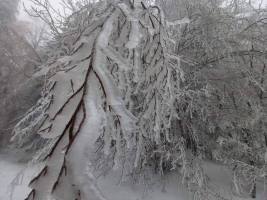 317832245_1209035096347334_5063425905471928087_n