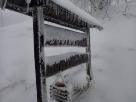 317975148_1783572395340277_8885024549062144101_n