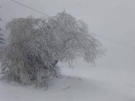 318066439_437941805045406_7446918088769479970_n