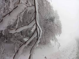 318556835_827881674952131_4893921860789655685_n