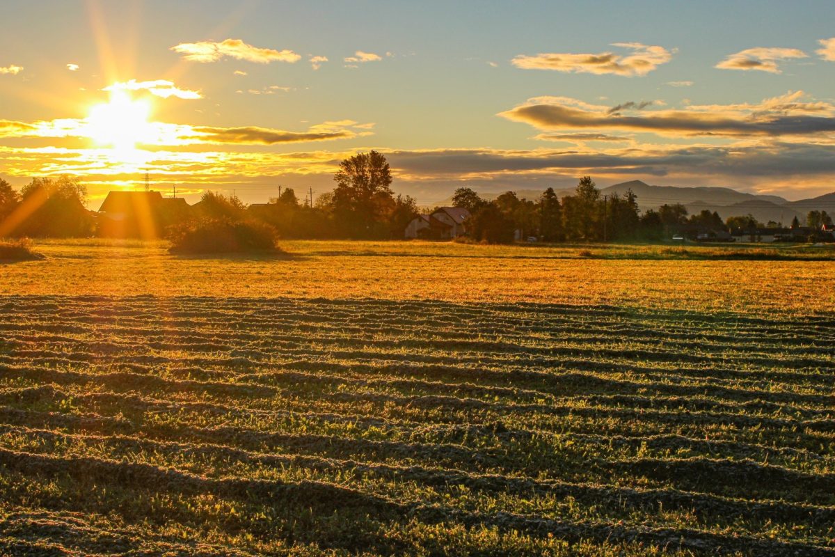 Arktični zrak se vrača v naslednjem tednu, temperatura bo spet nekaj stopinj pod dolgoletnim povprečjem