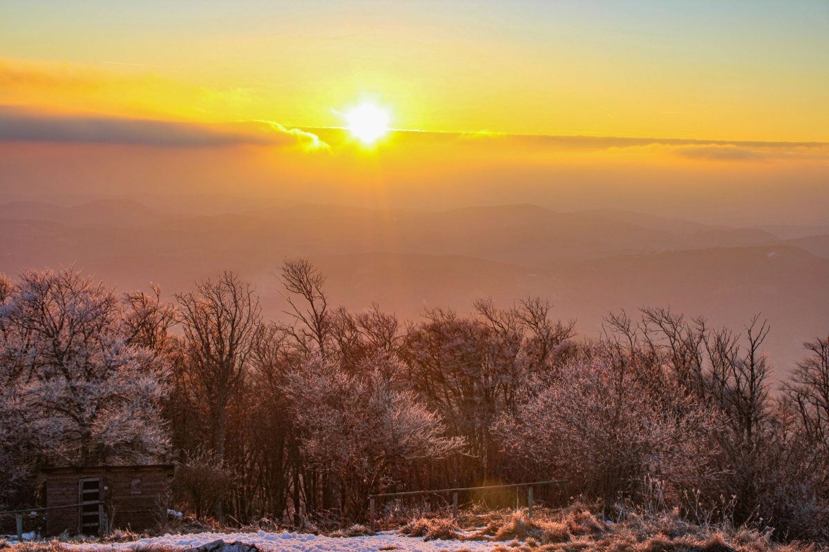 Ob koncu januarja več vremenske dinamike