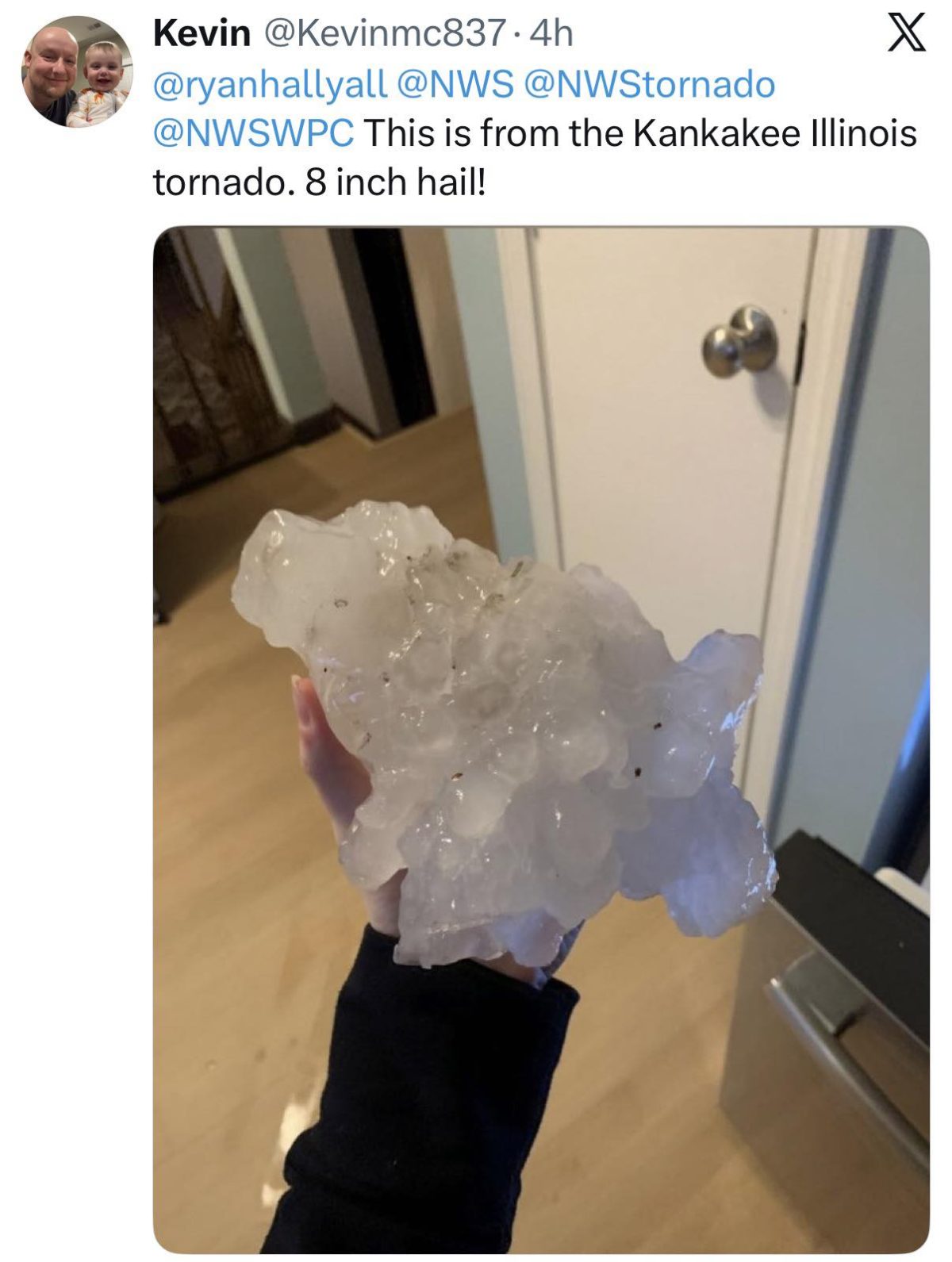 V ZDA našli točo velikanko – nova svetovna rekorderka?